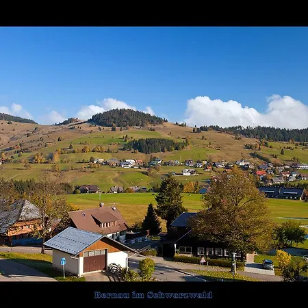 Stockerwald 3*