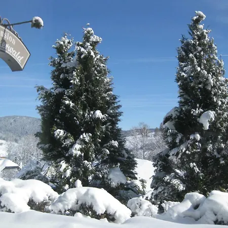Pensjonat Stockerwald Bernau im Schwarzwald